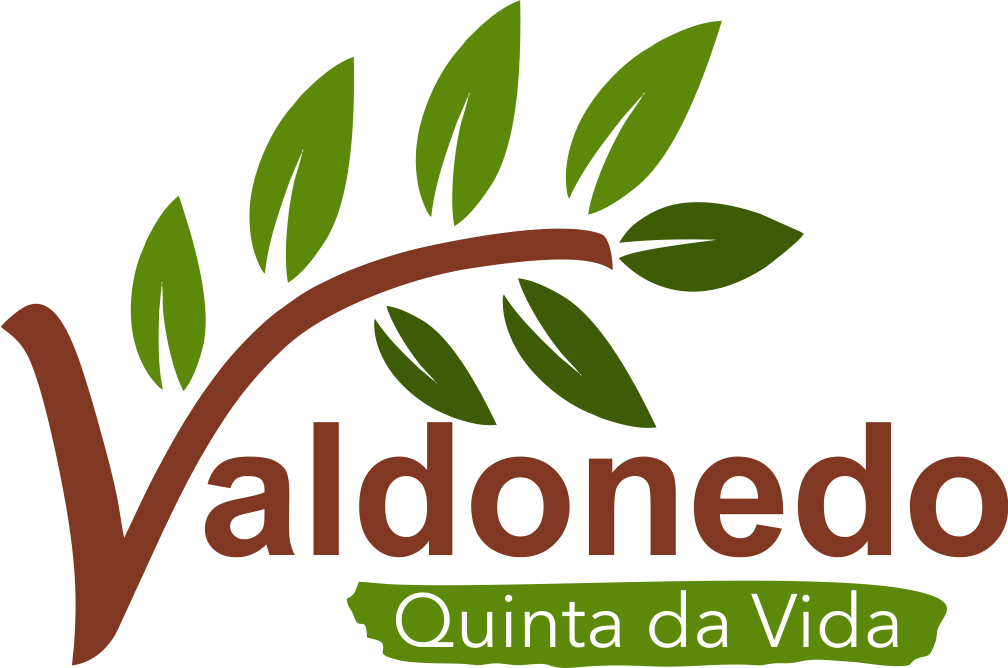 logo-valdonedo-trans