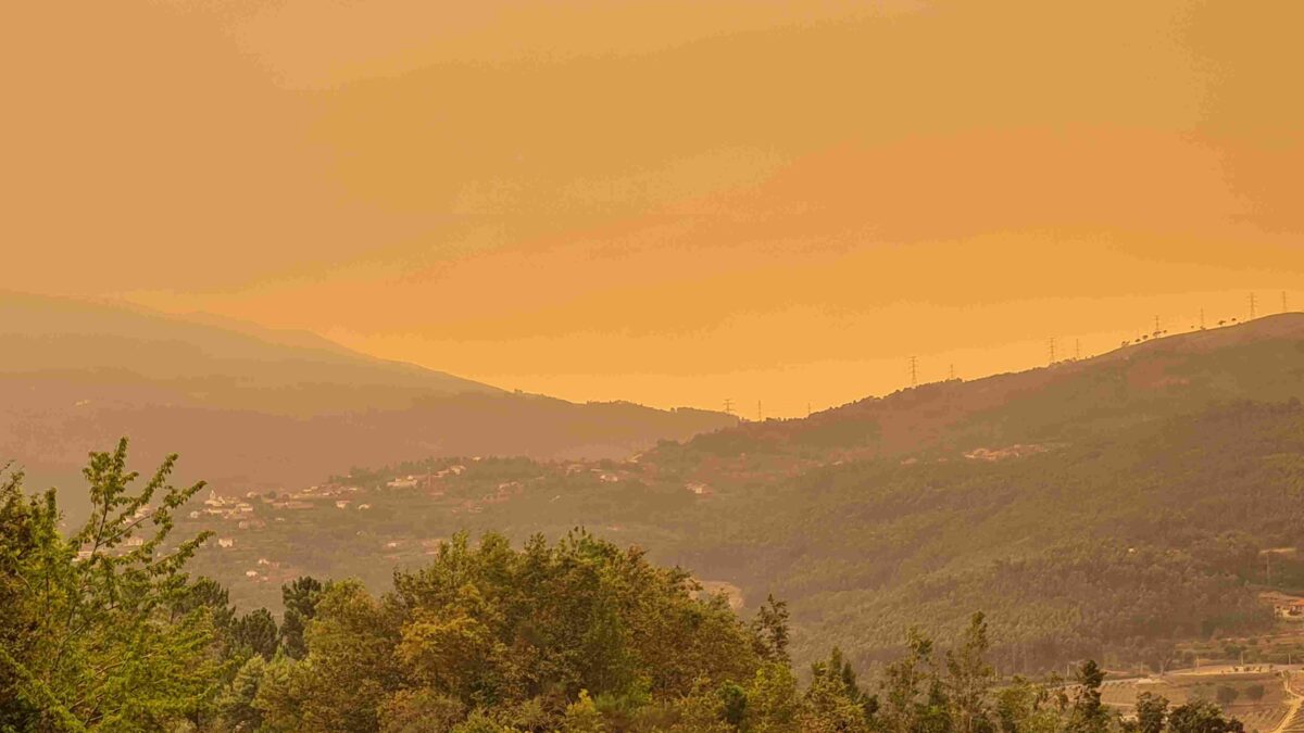 Waldbrände in Nordportugal