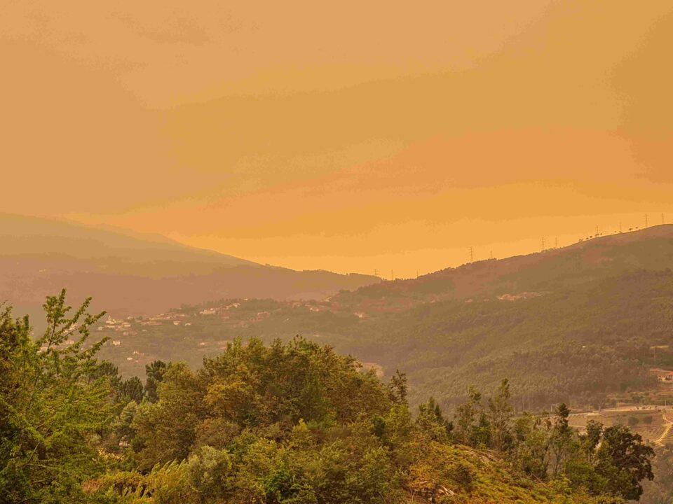 Waldbrände in Nordportugal