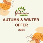 Herbst Winter Angebot